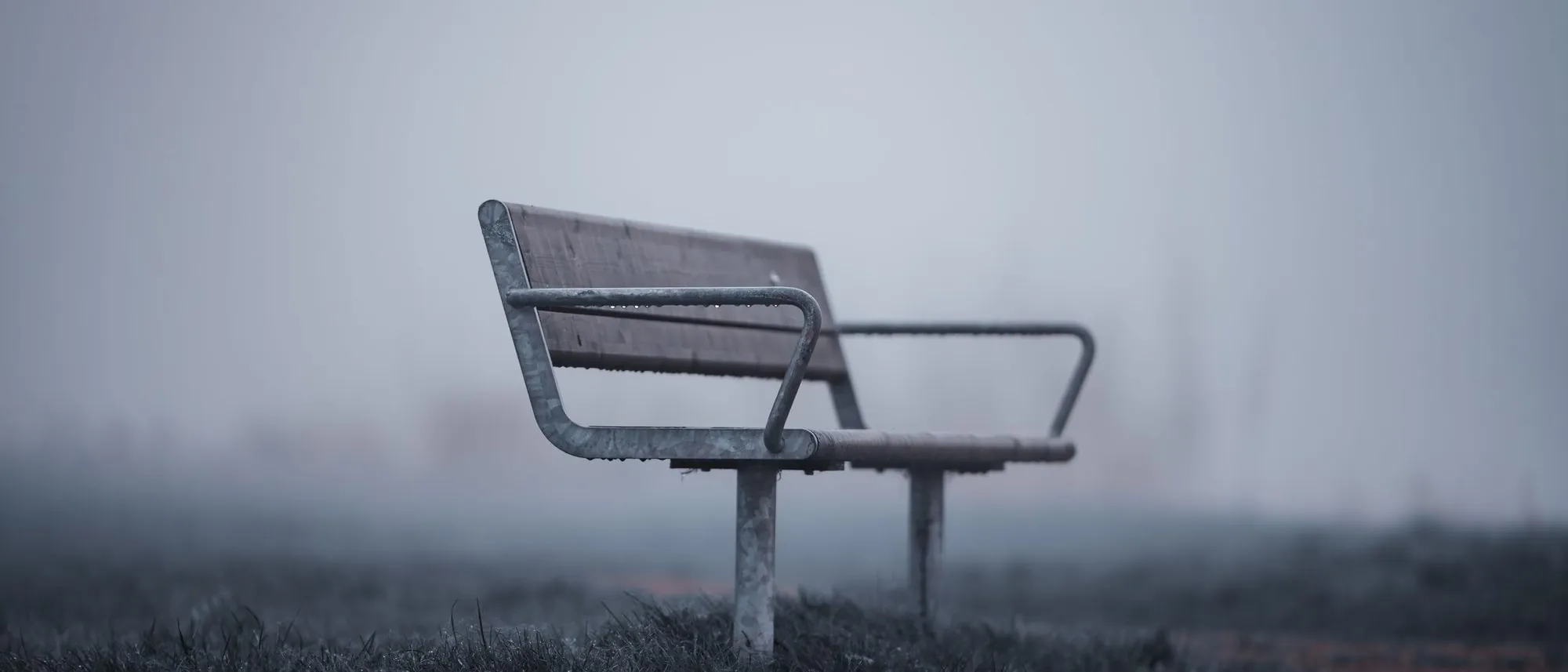 A single empty park bench stands in thick mist with bare trees fading behind it.
