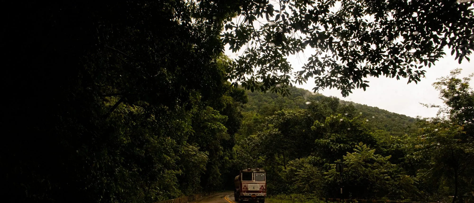 A lone truck on a wet road winding through dense green forest in the Western Ghats.
