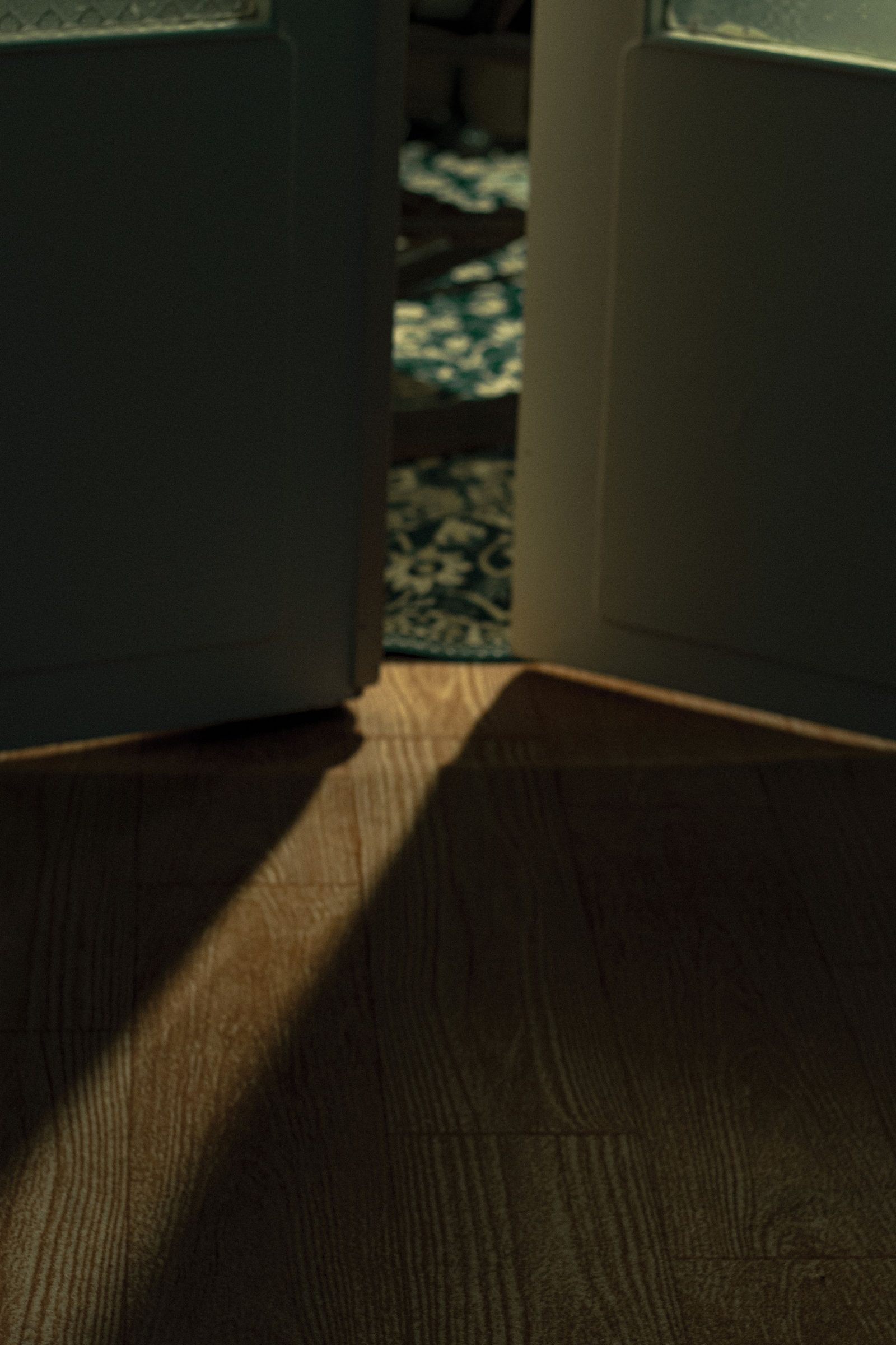 A slightly open door throws light and shadow across a patterned floor in Tehran.
