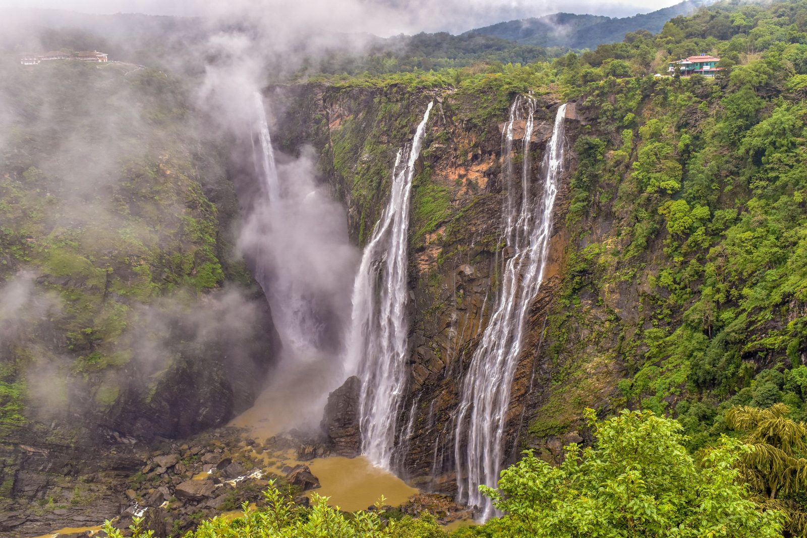 Jog Falls pours over a sheer rock face into mist in Karnataka's green forest.