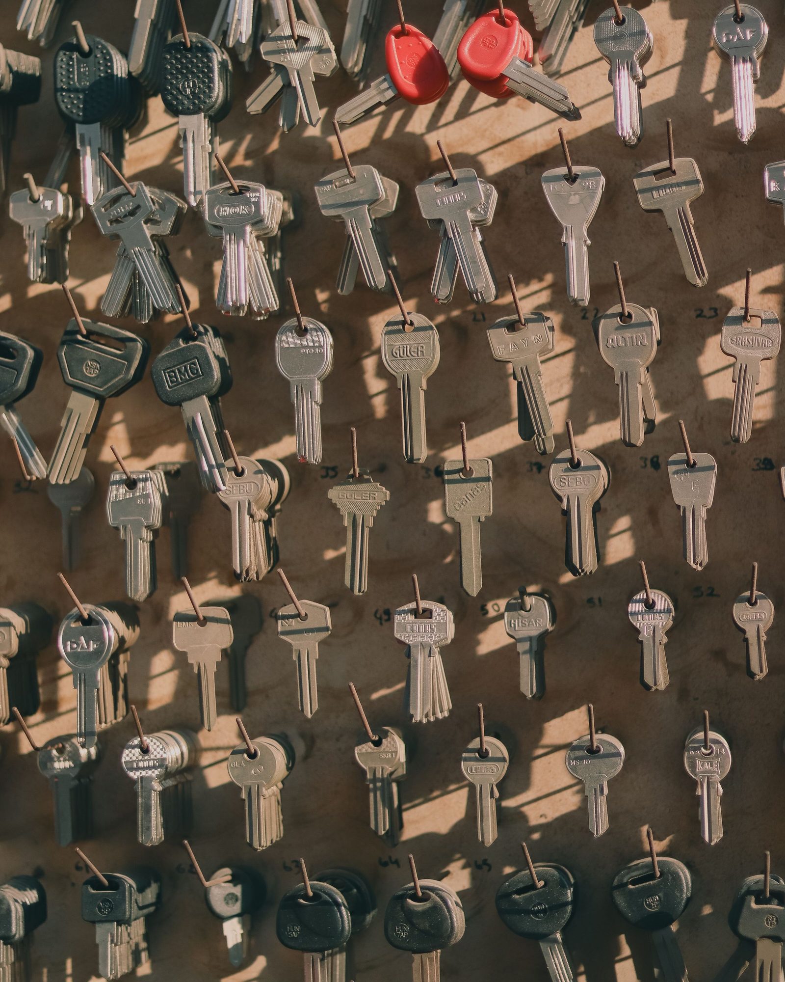 Assorted metal keys hang from hooks on a wall and cast shadows.