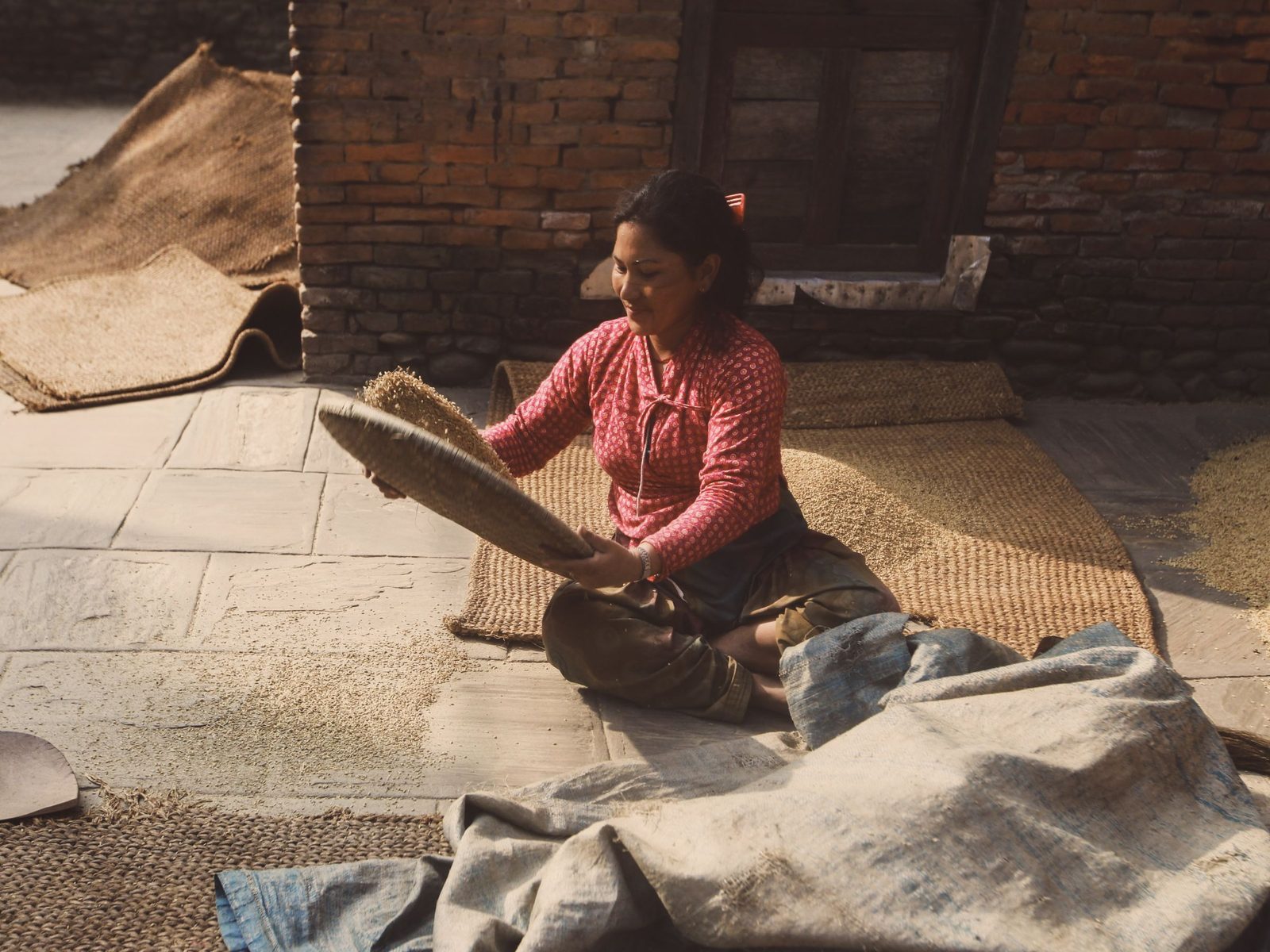 A woman sitting on the ground winnows grain with a woven basket outdoors.