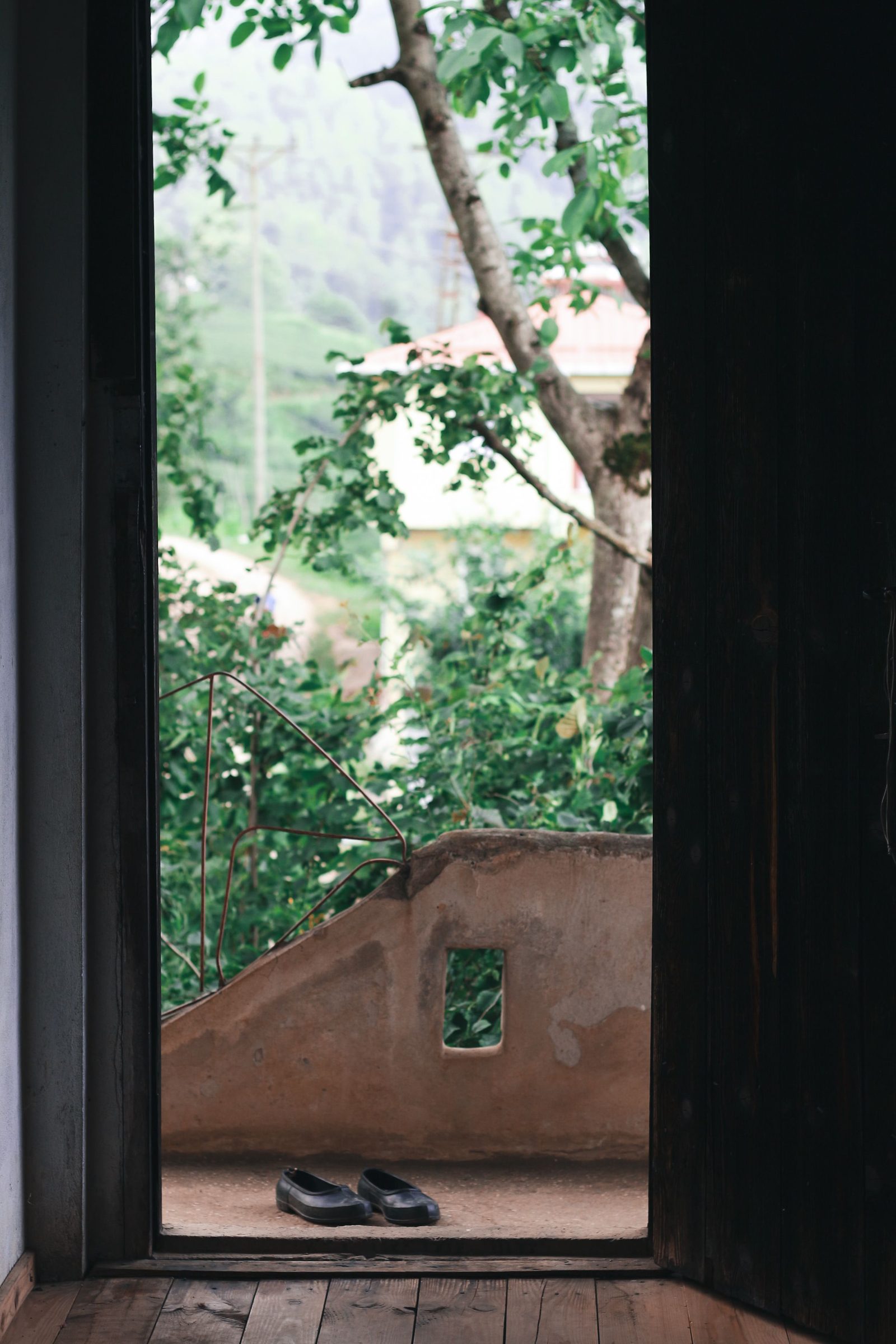 A pair of shoes on a wooden floor inside an open doorway that looks out on a garden.
