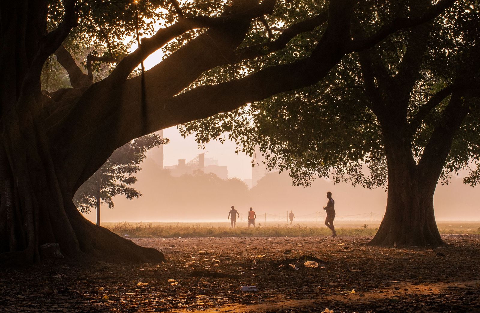 Distant walkers and joggers under large old trees in a Kolkata park at sunrise