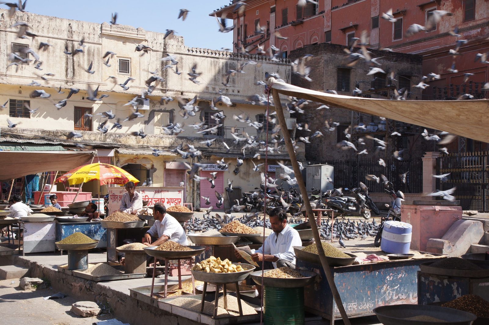 Pigeons fly over market stalls and vendors in Jaipur.