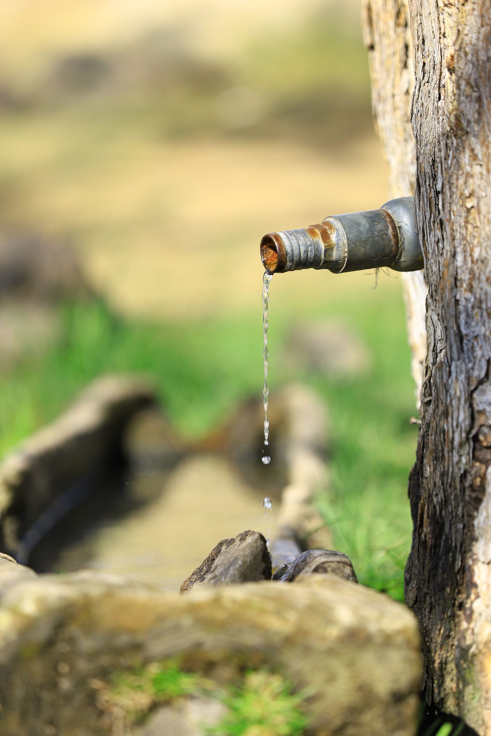 An old metal spout drips water into a stone trough.