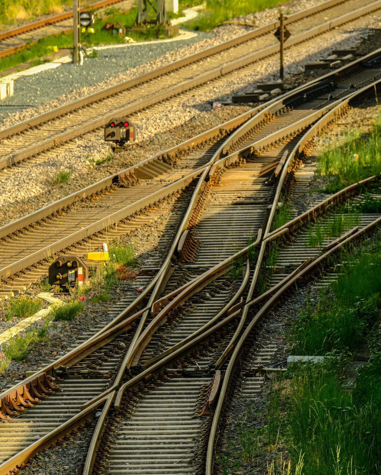 A network of railway tracks and signals in summer sun with green trees alongside.