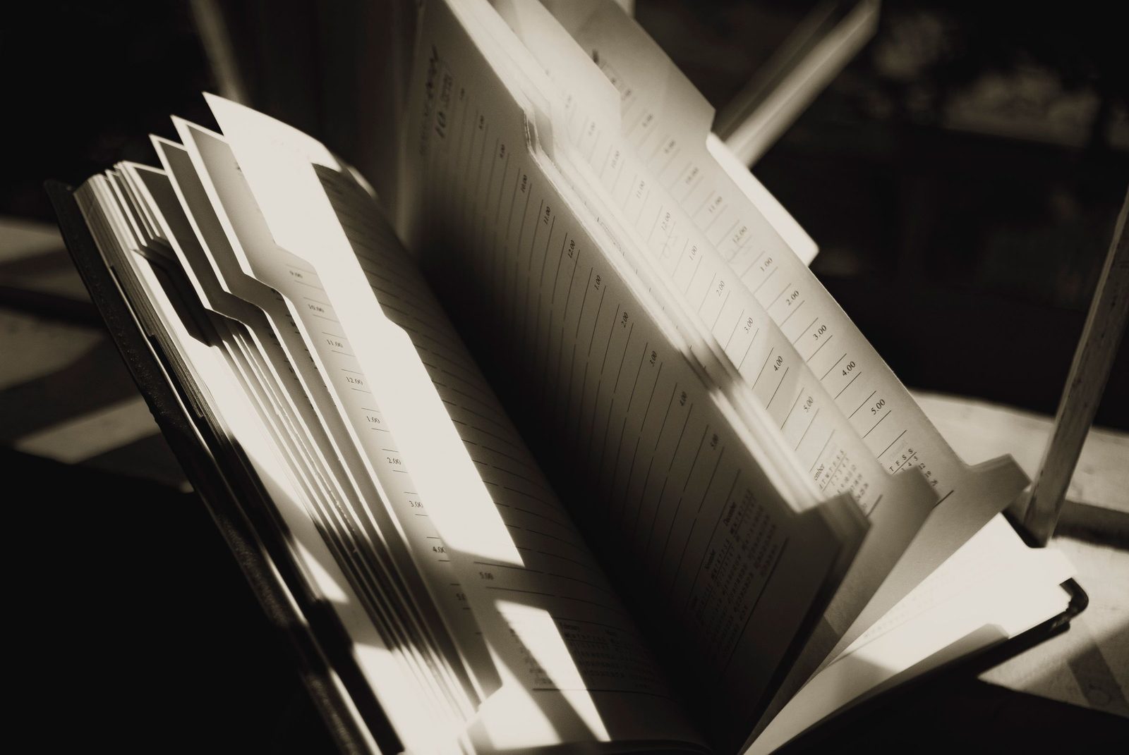 The open pages of a diary lit by a shaft of sunlight.