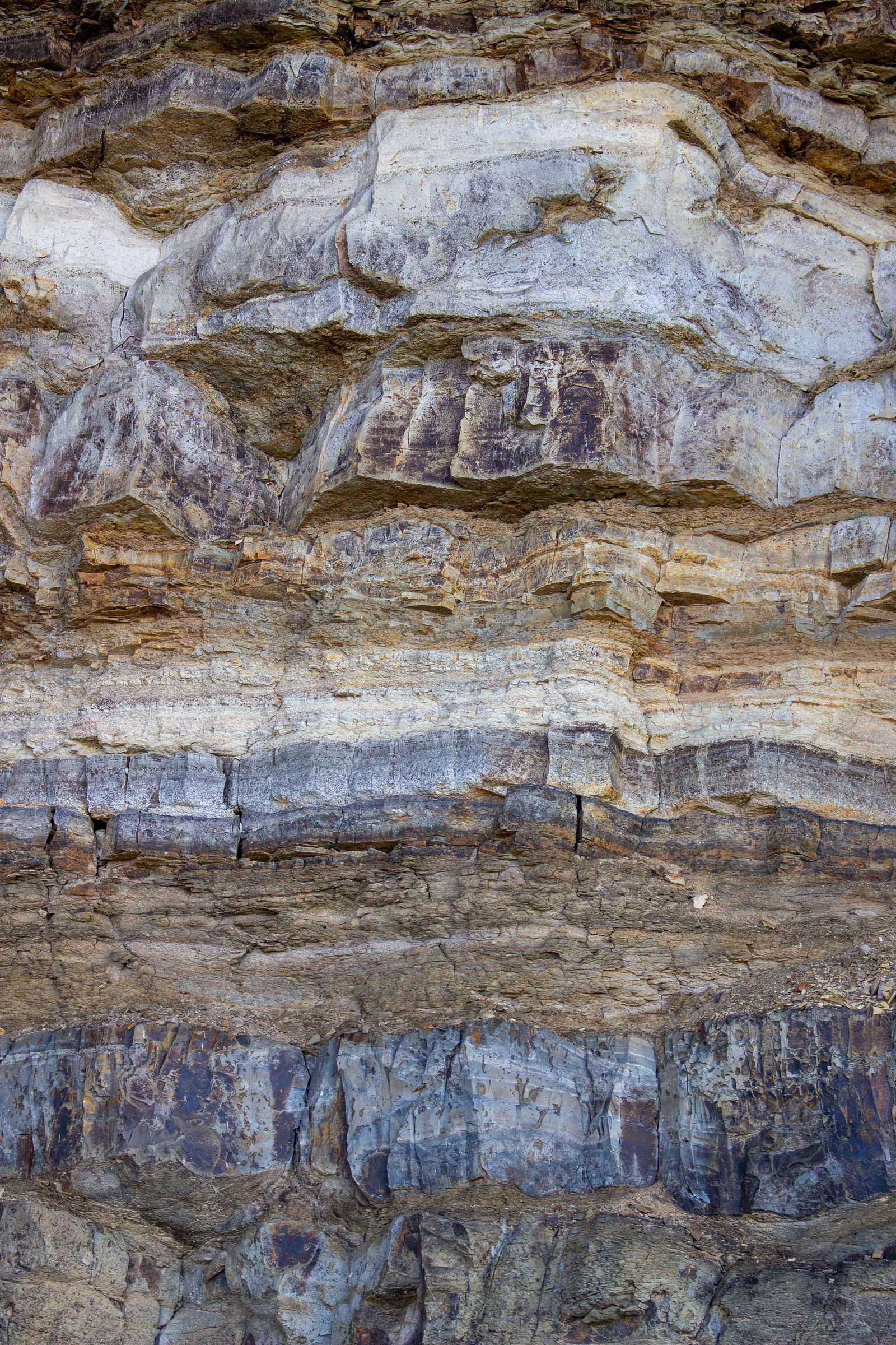 A limestone rock face in close-up with its layers laid one on another.