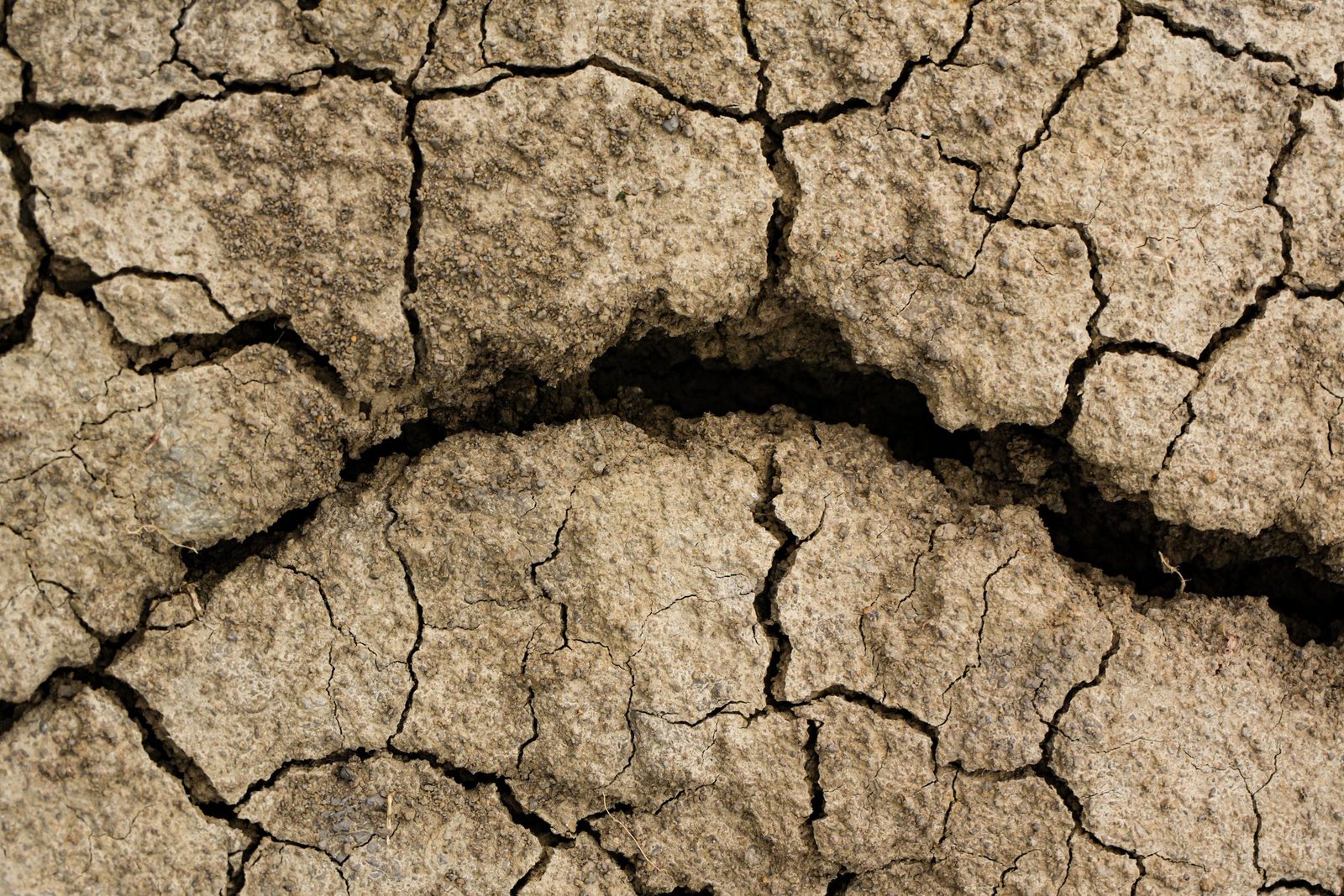 Dry cracked earth in Chitrashali, West Bengal.
