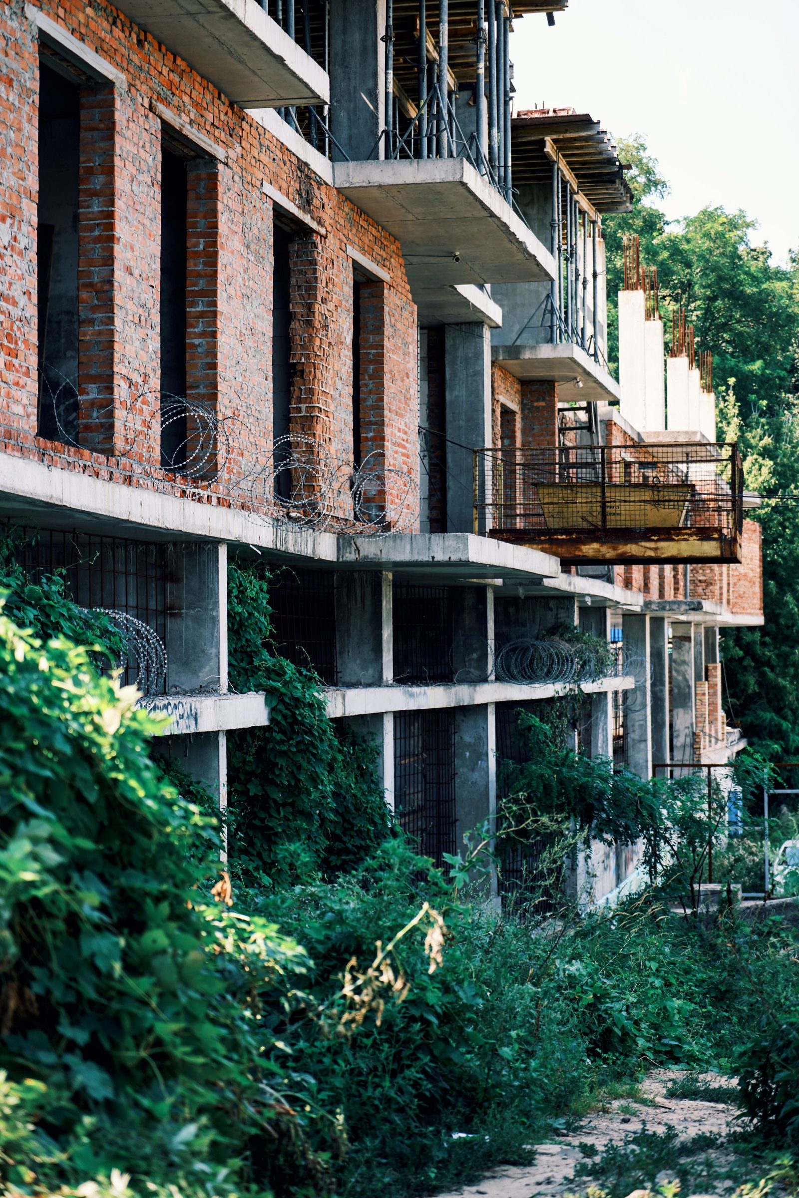 A partly built concrete building overtaken by plants and trees.
