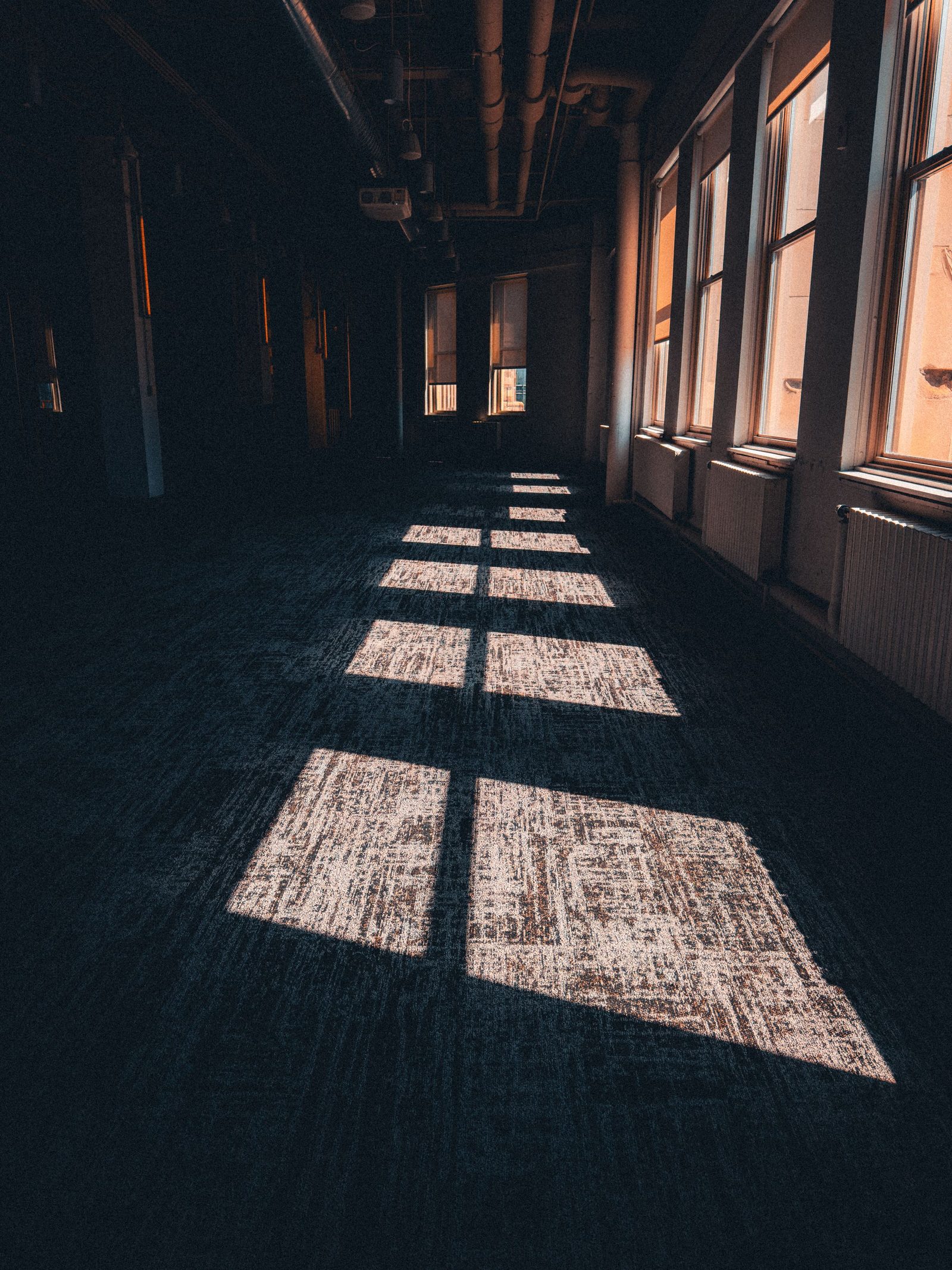 Window light throws geometric shadows across the floor of an empty hallway.