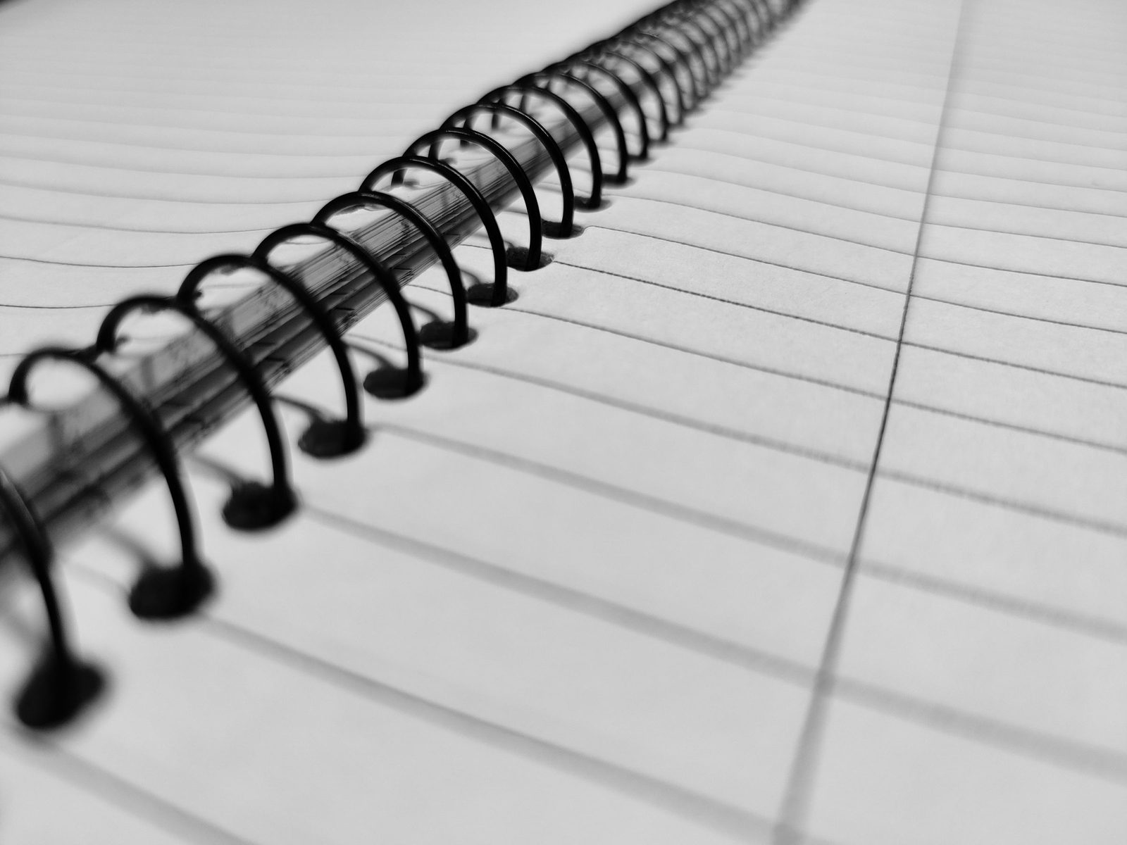 An open spiral notebook with blank lined pages, seen close up.
