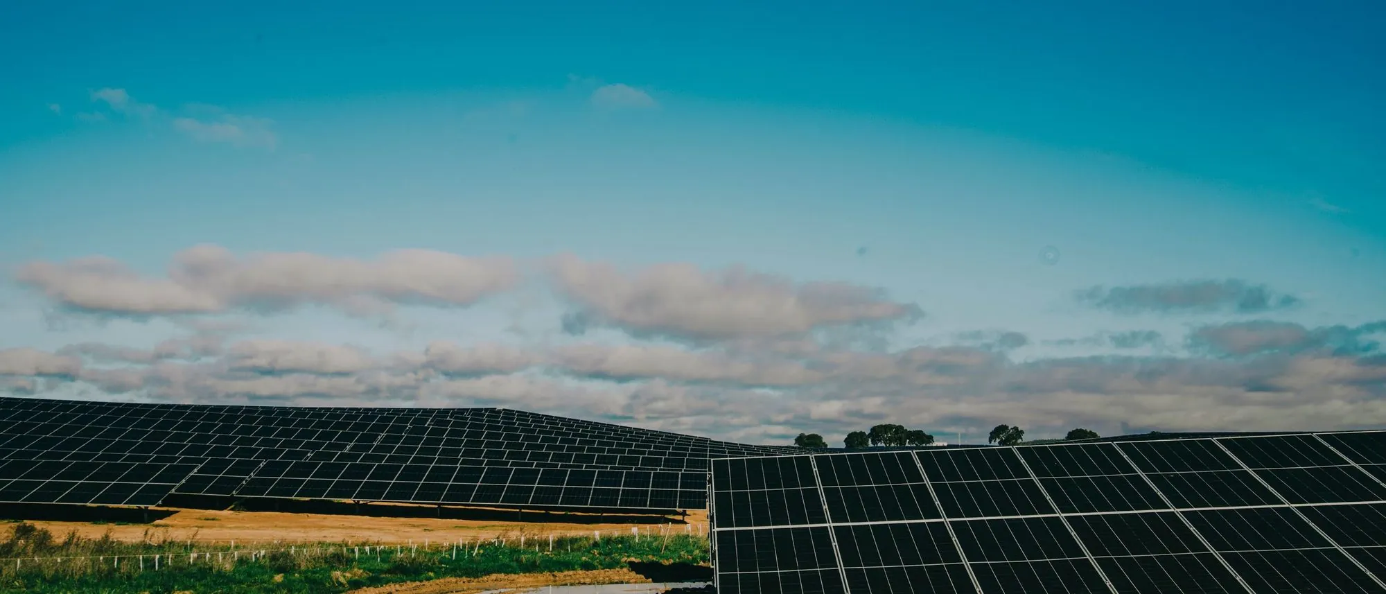 Rows of solar panels stretching across a desert under a clear blue sky.