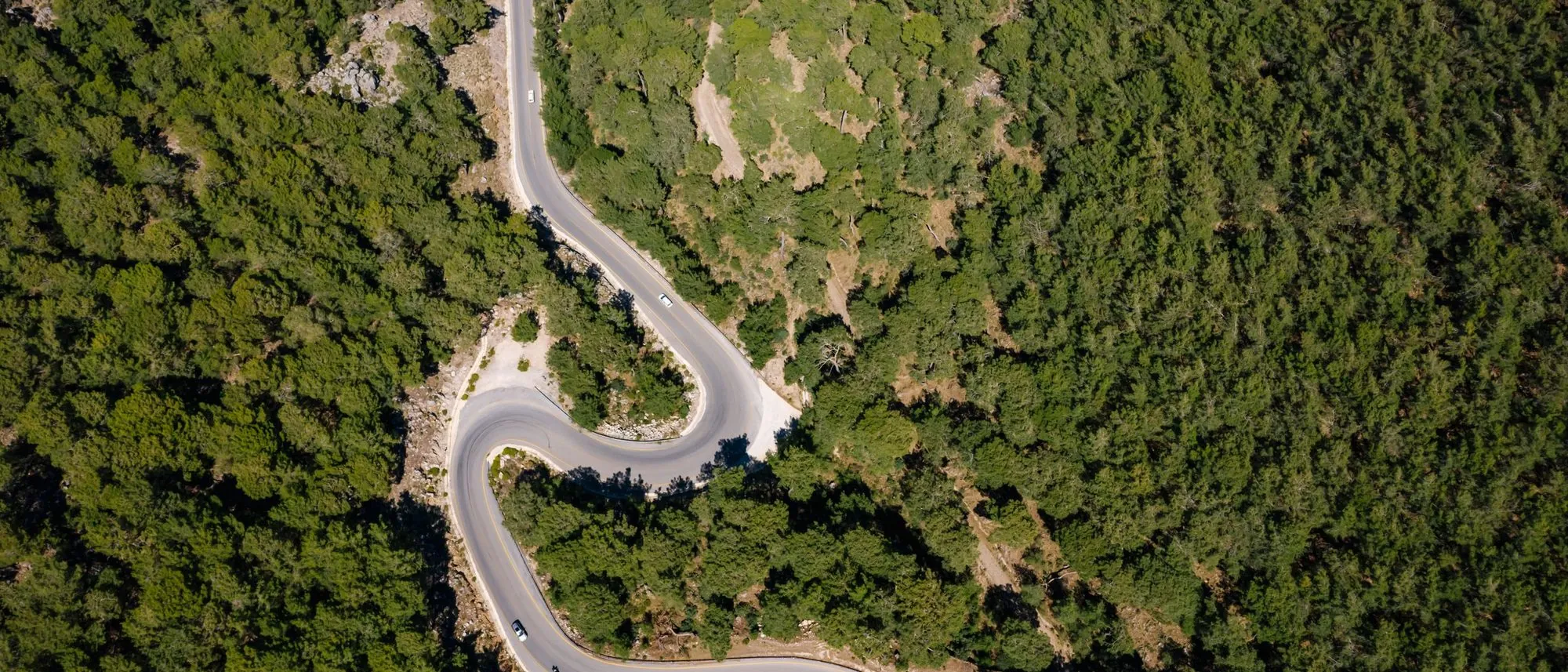 A road winds through dense forest, seen from directly above.