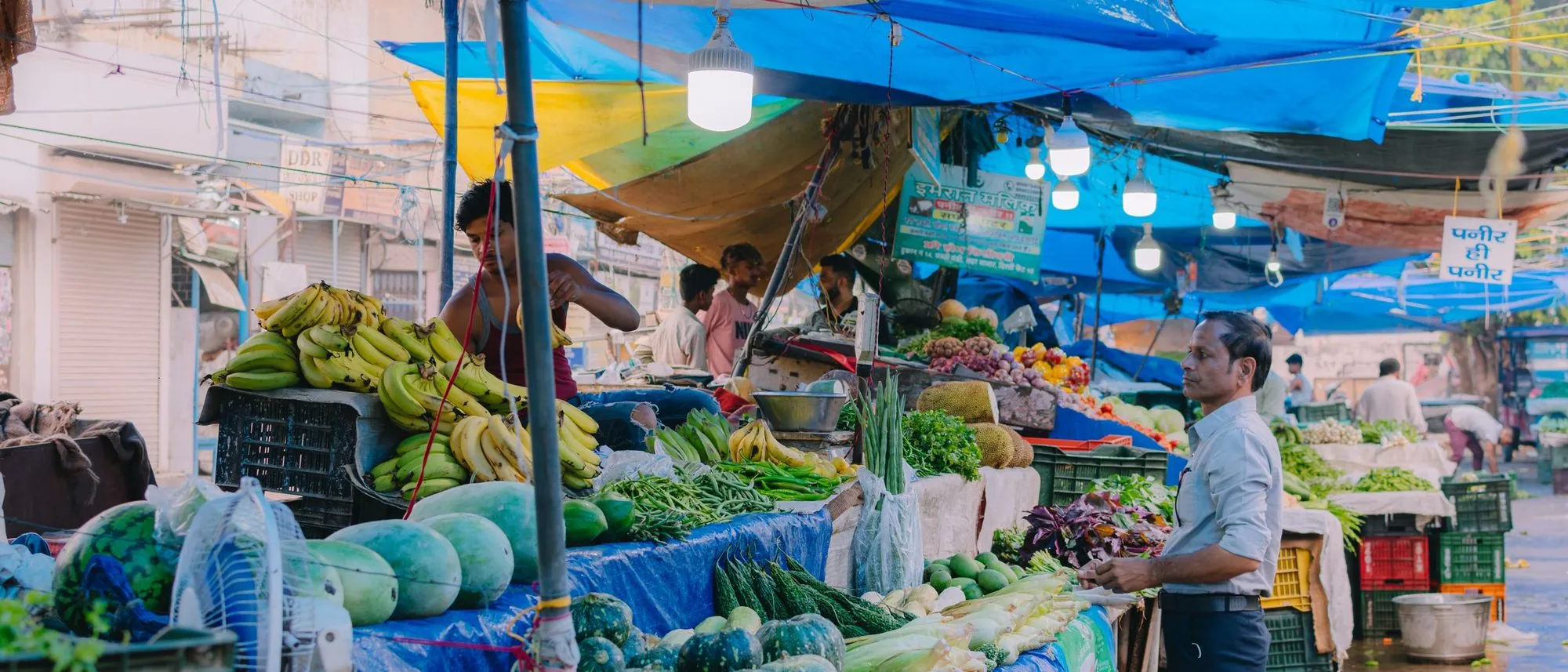 A street market in India with fruit and vegetables laid out under blue tarpaulins.
