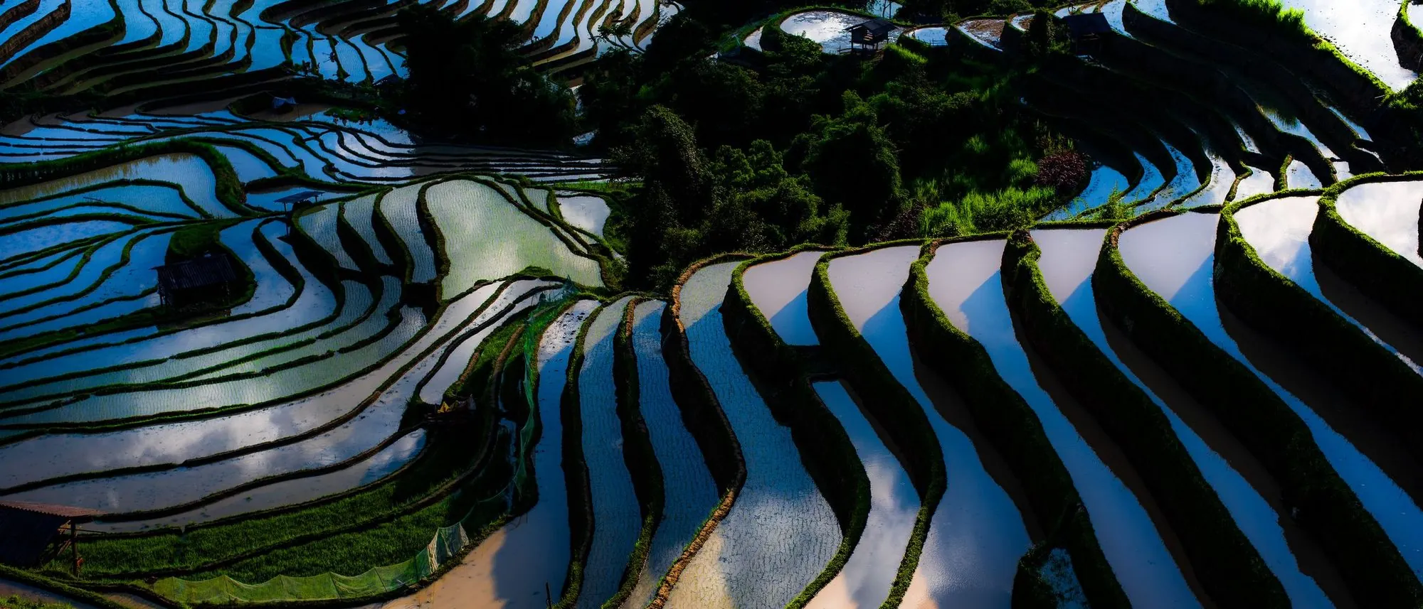 Aerial view of flooded rice terraces curving down a hillside at sunset in Yuanyang.
