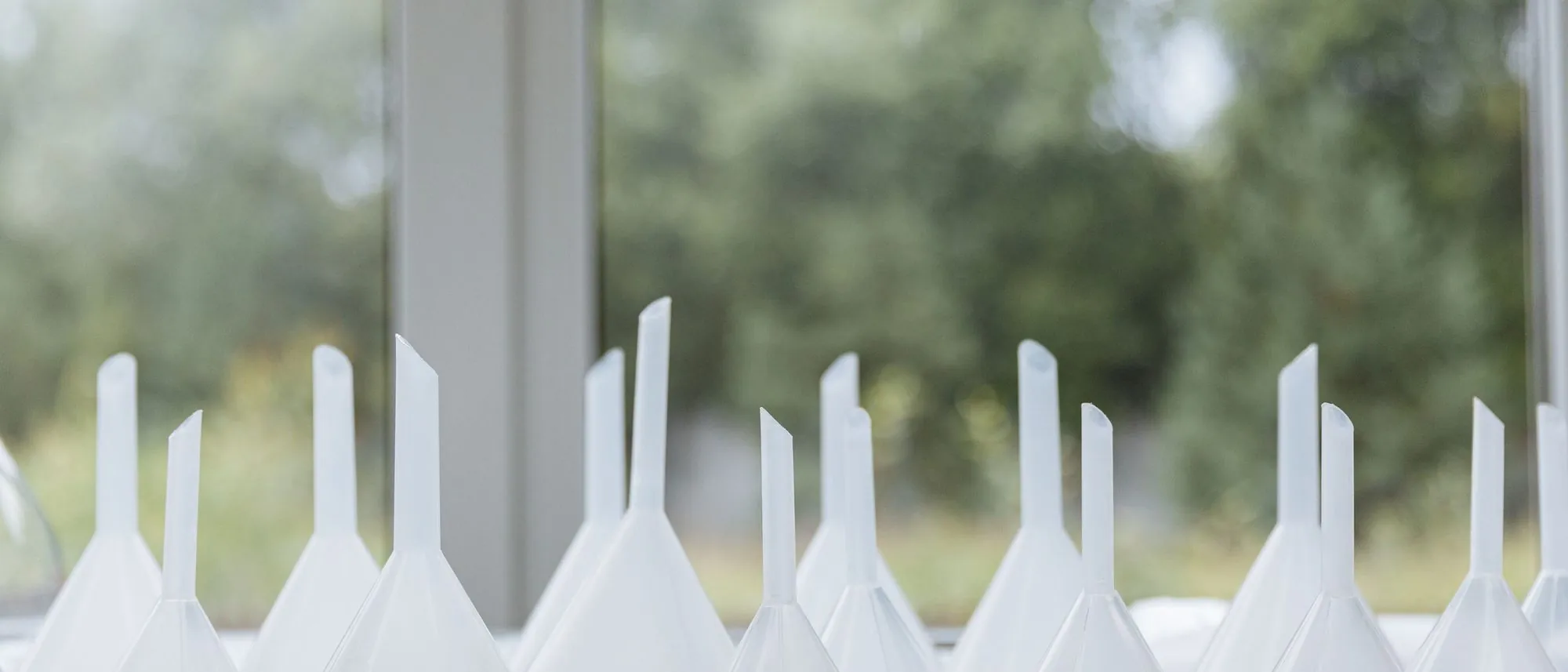 White funnels of three sizes lined up on a sill by a window, greenery outside