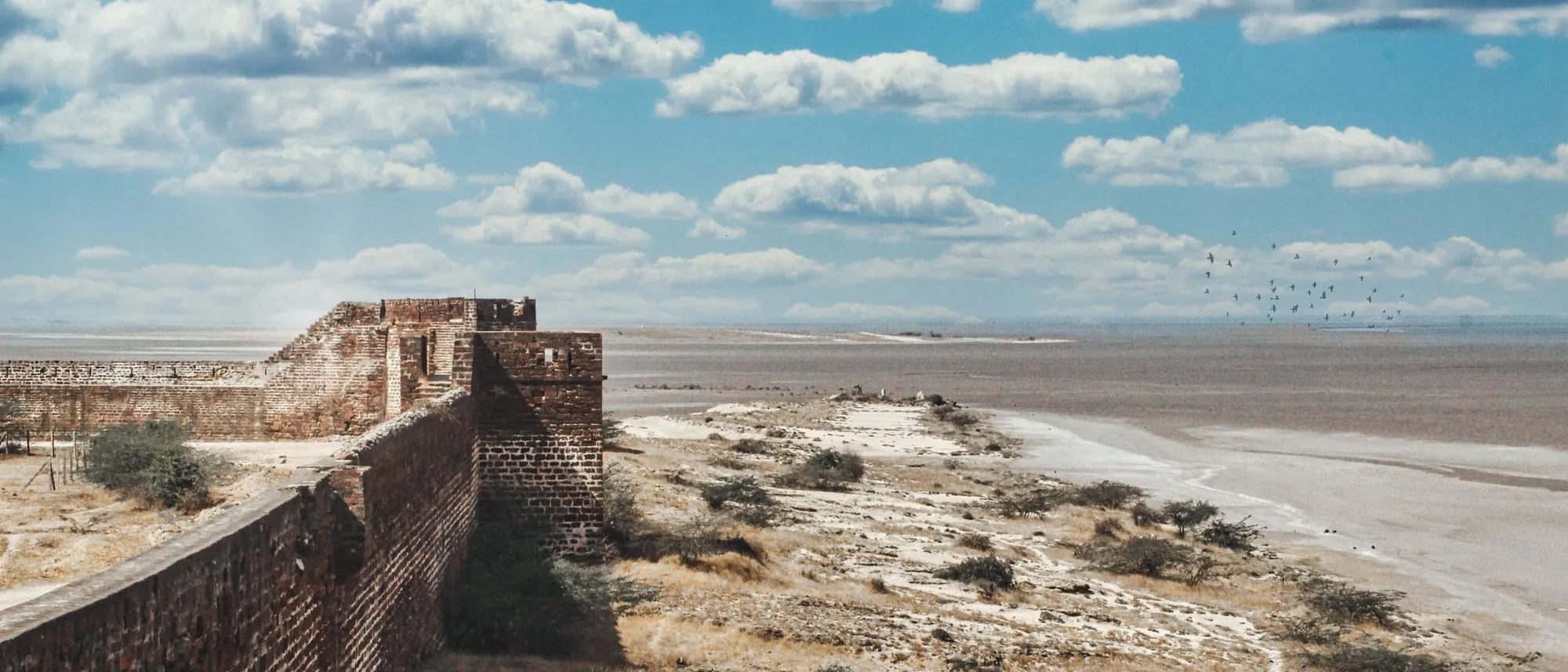 A long brick fort wall at Lakhpat running across the dry flat land of Kutch under an open sky.