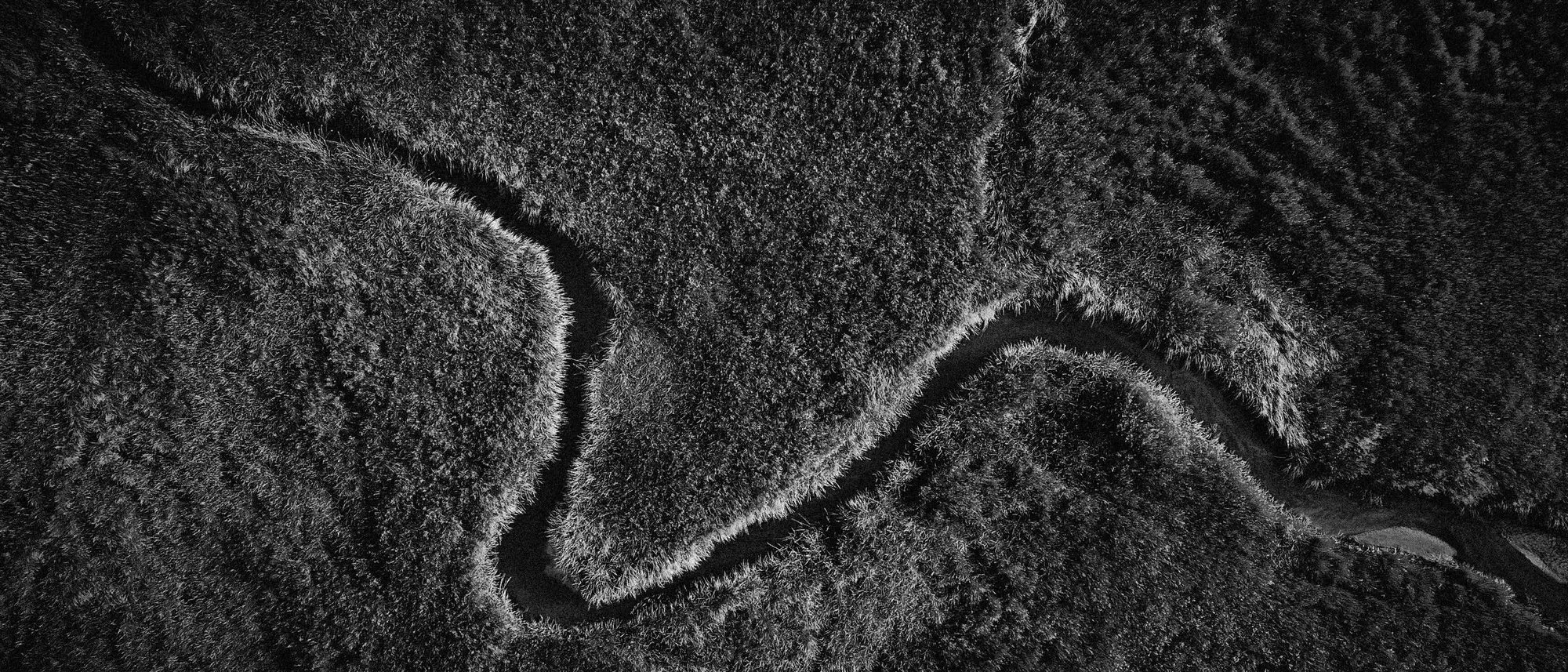 An aerial black and white view of a river winding in tight meanders through grassland.